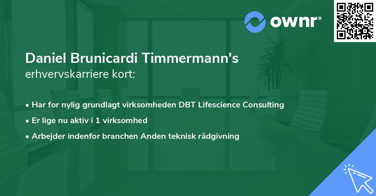 Daniel Brunicardi Timmermann's erhvervskarriere kort