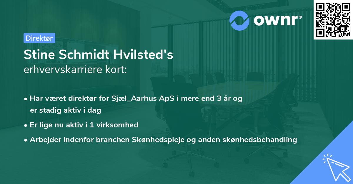 Stine Schmidt Hvilsted's erhvervskarriere kort