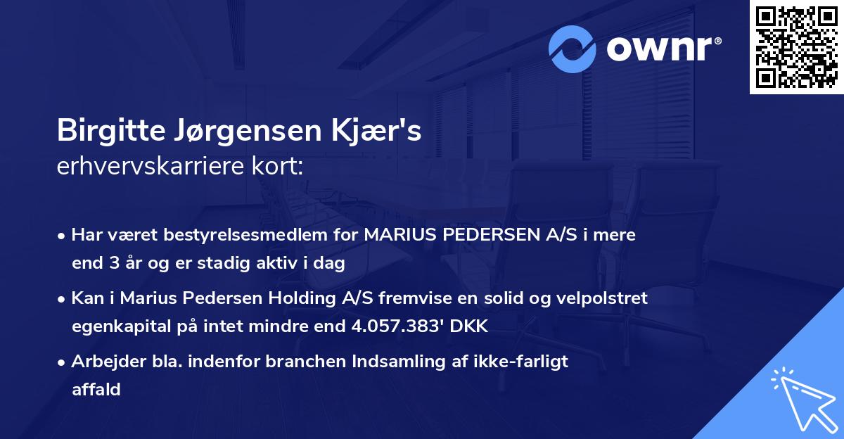 Birgitte Jørgensen Kjær's erhvervskarriere kort