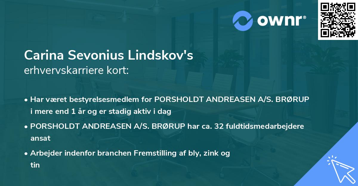 Carina Sevonius Lindskov's erhvervskarriere kort