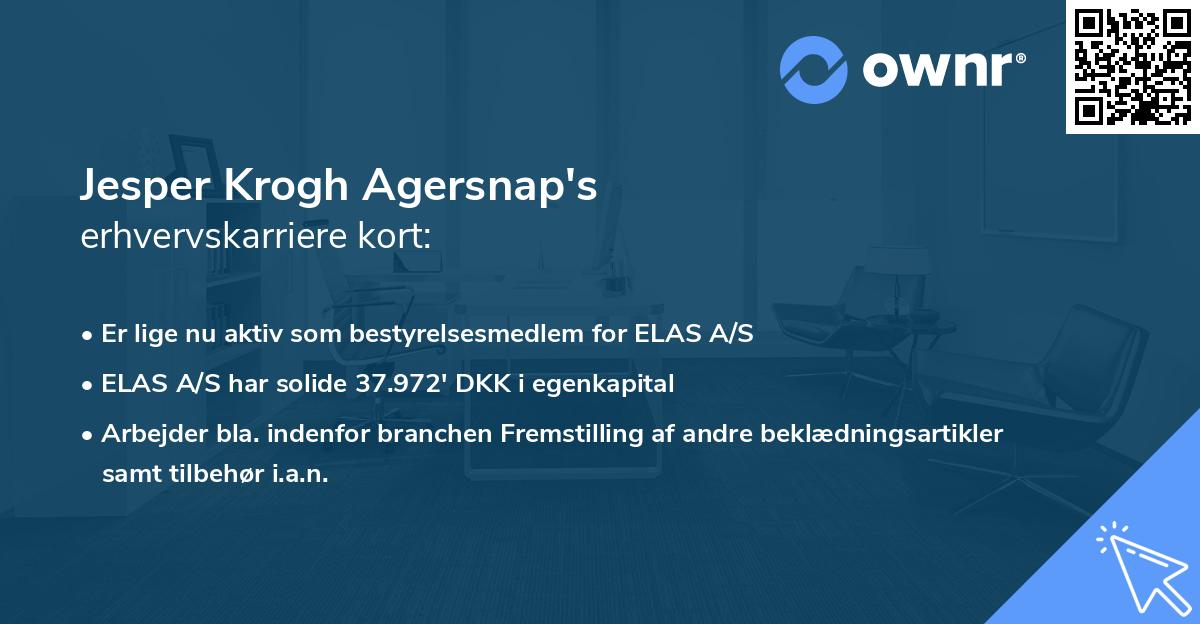 Jesper Krogh Agersnap's erhvervskarriere kort