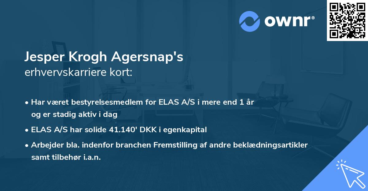 Jesper Krogh Agersnap's erhvervskarriere kort