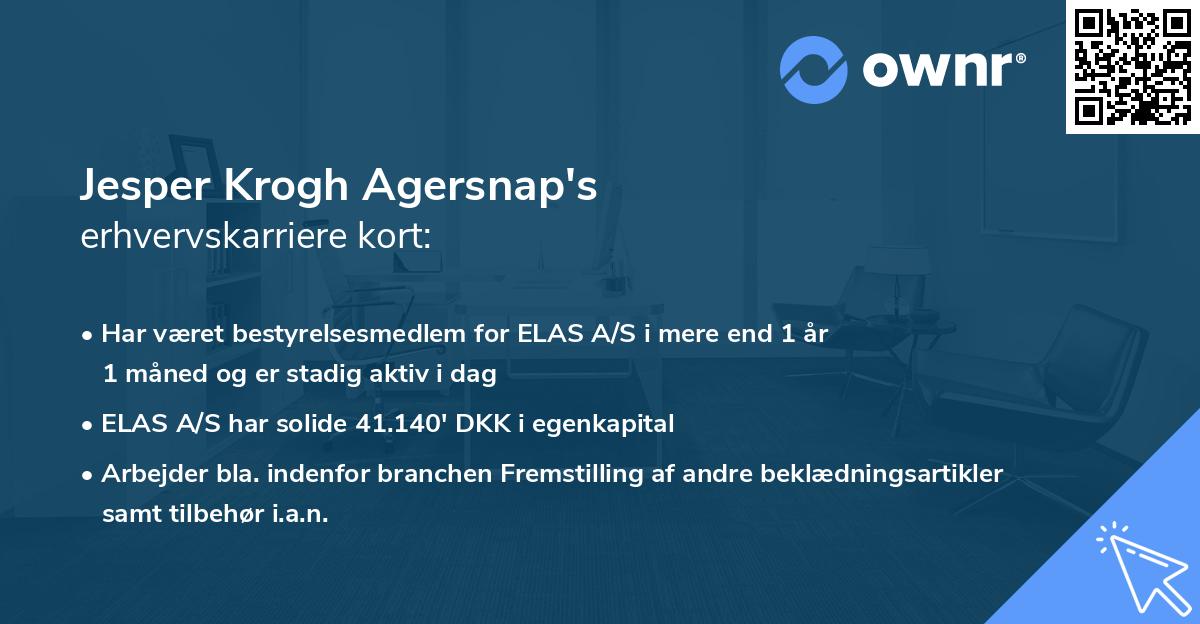 Jesper Krogh Agersnap's erhvervskarriere kort