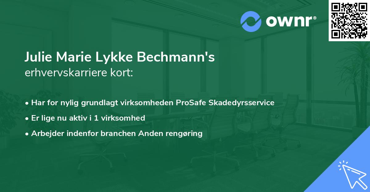 Julie Marie Lykke Bechmann's erhvervskarriere kort