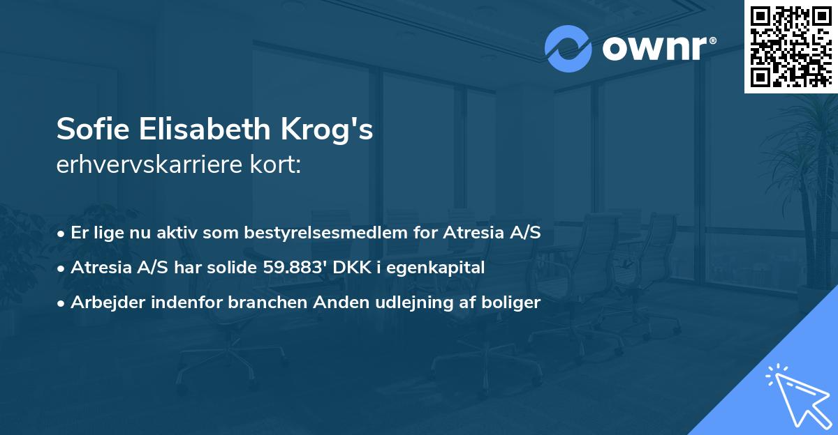 Sofie Elisabeth Krog's erhvervskarriere kort