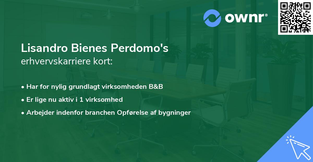 Lisandro Bienes Perdomo's erhvervskarriere kort