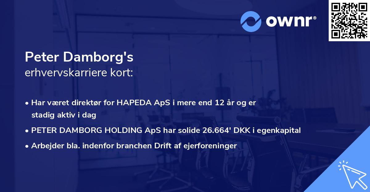 Peter Damborg's erhvervskarriere kort