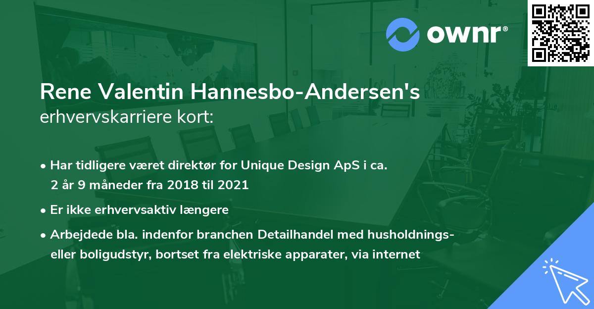 Rene Valentin Hannesbo-Andersen's erhvervskarriere kort