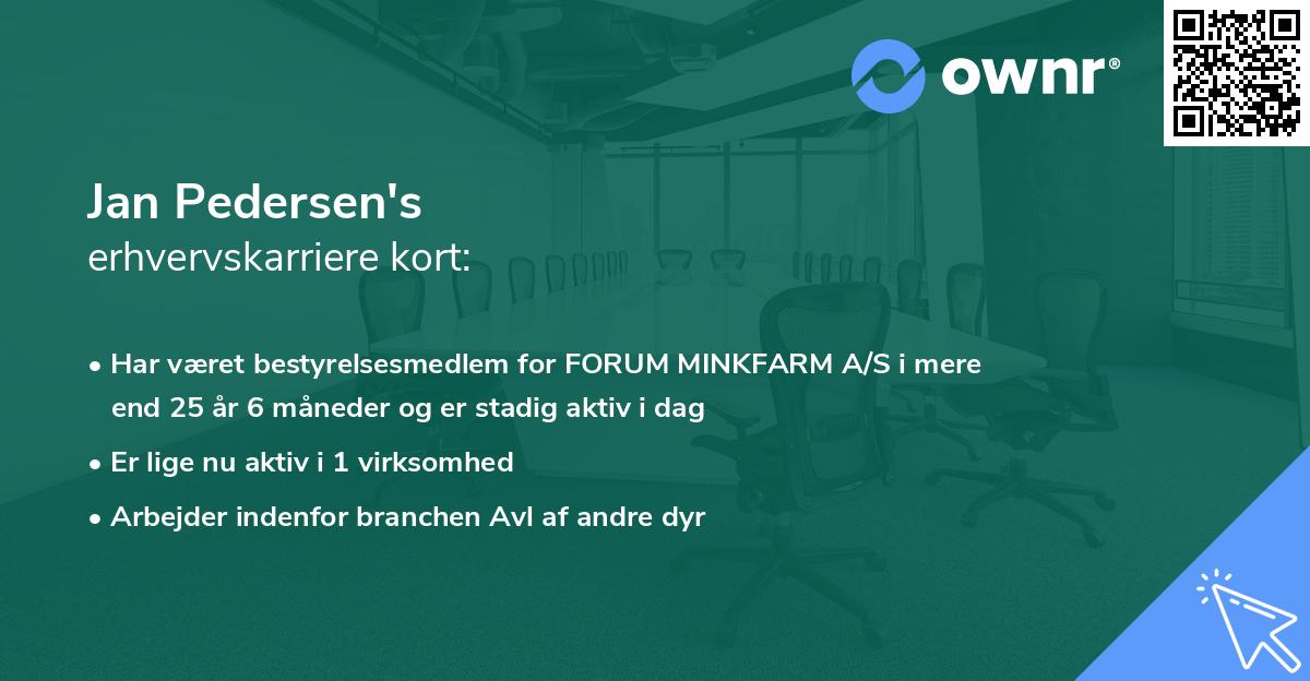 Jan Pedersen's erhvervskarriere kort