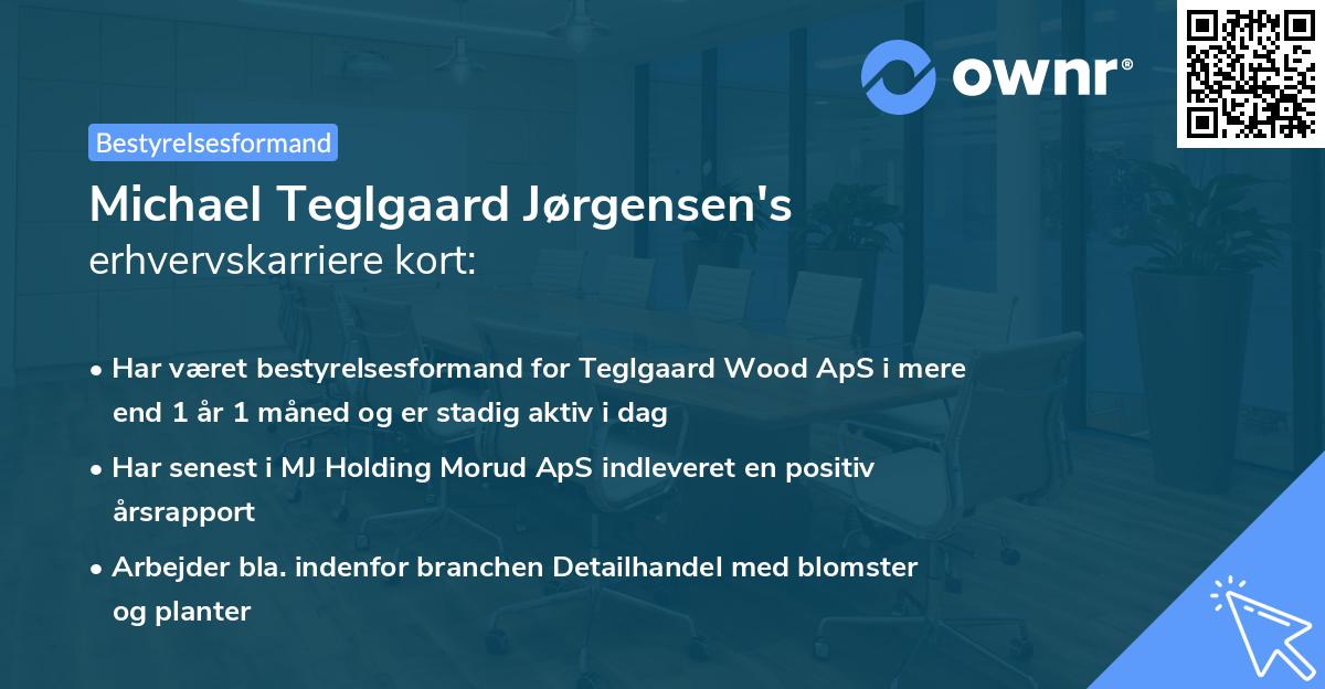 Michael Teglgaard Jørgensen's erhvervskarriere kort