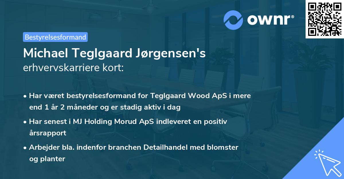 Michael Teglgaard Jørgensen's erhvervskarriere kort