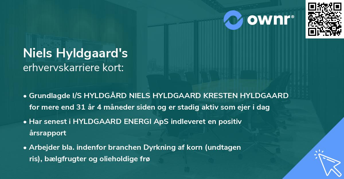 Niels Hyldgaard's erhvervskarriere kort