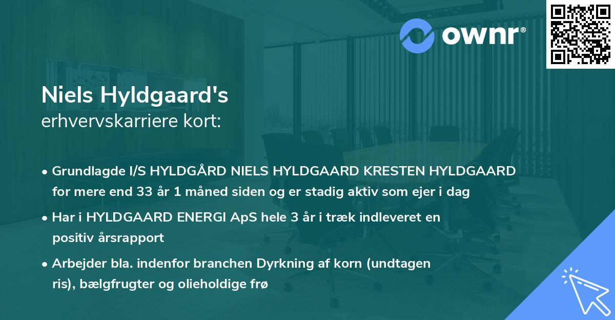 Niels Hyldgaard's erhvervskarriere kort