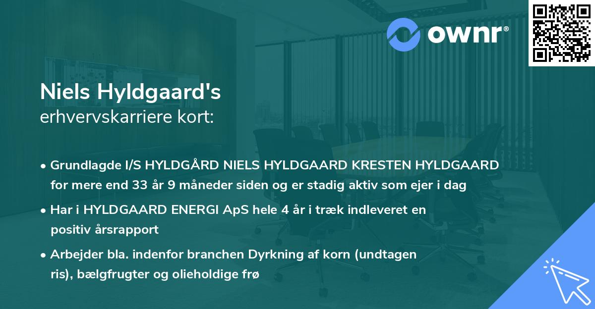 Niels Hyldgaard's erhvervskarriere kort
