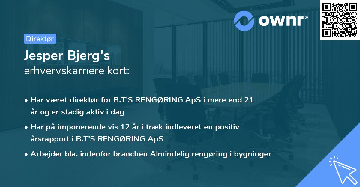 Jesper Bjerg's erhvervskarriere kort
