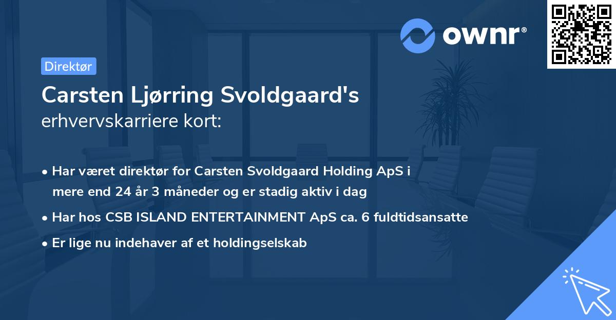 Carsten Ljørring Svoldgaard's erhvervskarriere kort