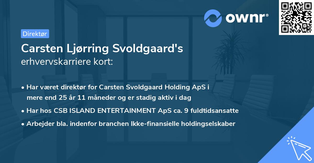 Carsten Ljørring Svoldgaard's erhvervskarriere kort