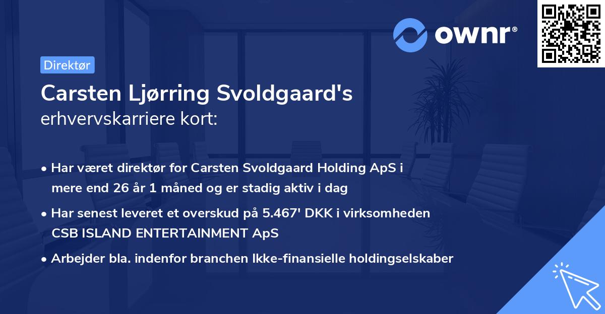 Carsten Ljørring Svoldgaard's erhvervskarriere kort