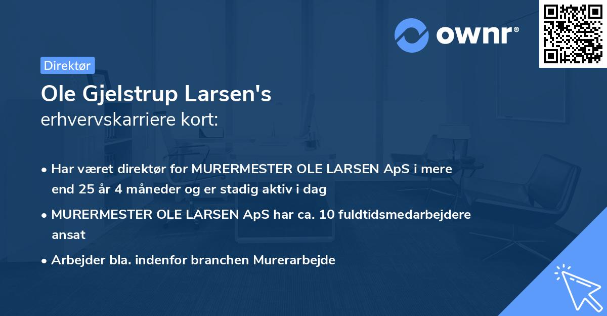 Ole Gjelstrup Larsen's erhvervskarriere kort