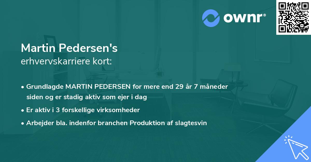 Martin Pedersen's erhvervskarriere kort