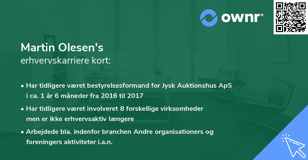 Martin Olesen's erhvervskarriere kort