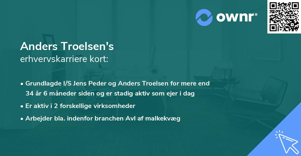 Anders Troelsen's erhvervskarriere kort