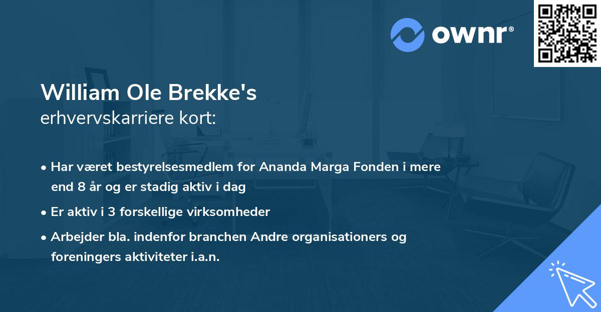 William Ole Brekke's erhvervskarriere kort