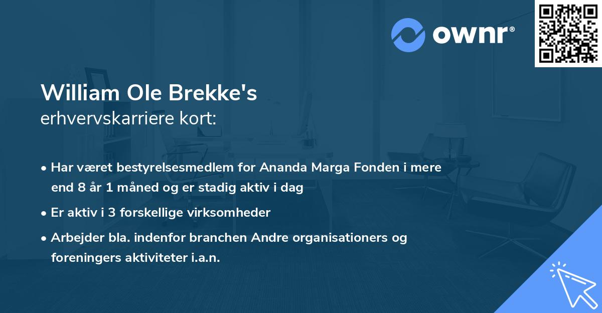 William Ole Brekke's erhvervskarriere kort