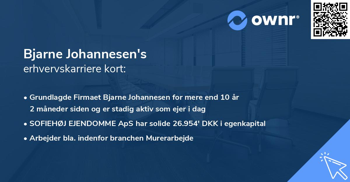 Bjarne Johannesen's erhvervskarriere kort