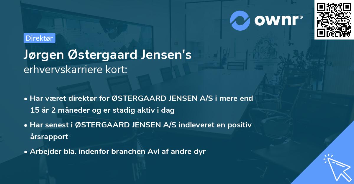 Jørgen Østergaard Jensen's erhvervskarriere kort