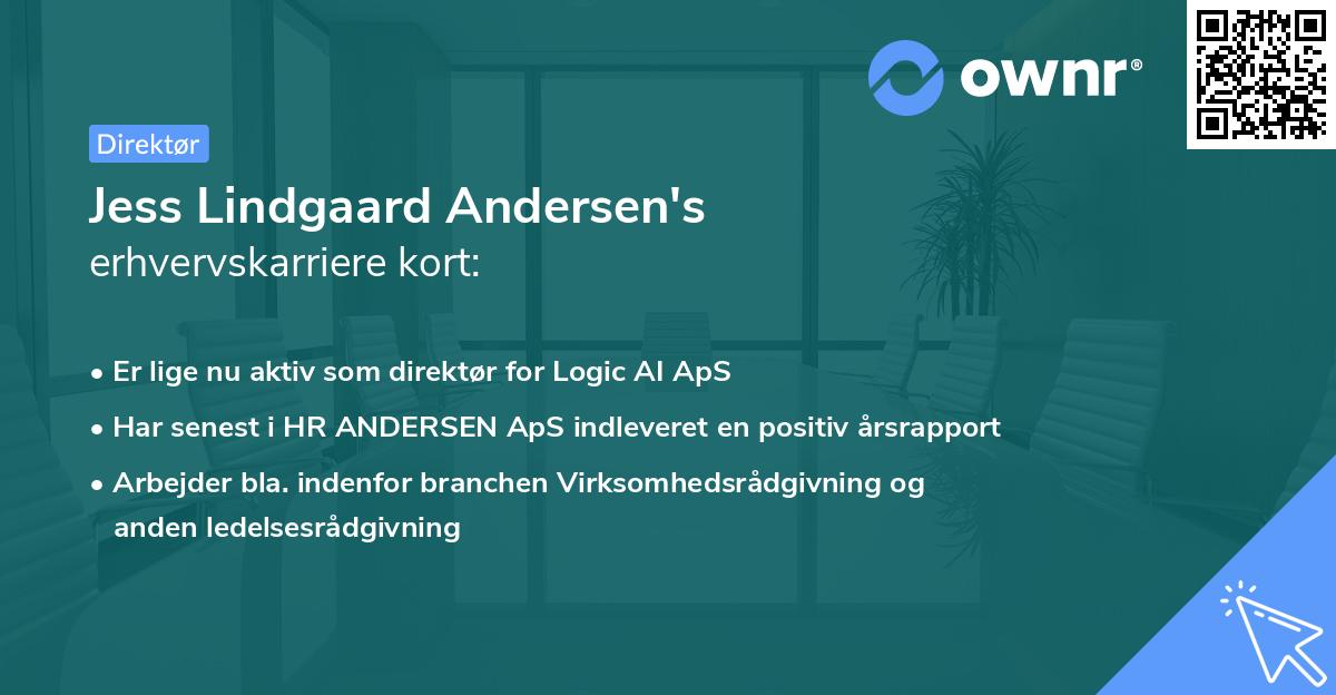 Jess Lindgaard Andersen's erhvervskarriere kort