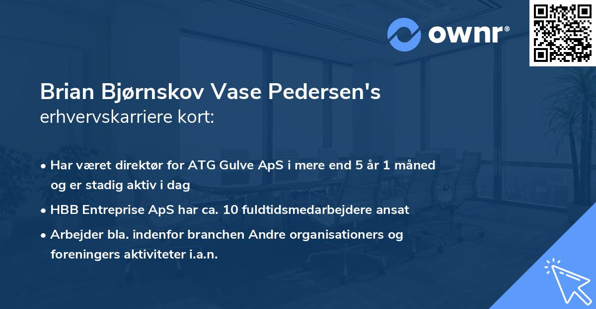 Brian Bjørnskov Vase Pedersen's erhvervskarriere kort