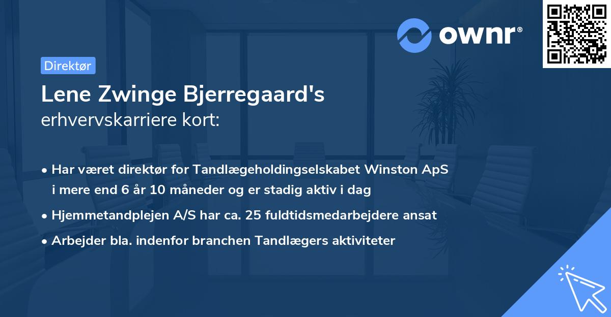 Lene Zwinge Bjerregaard's erhvervskarriere kort