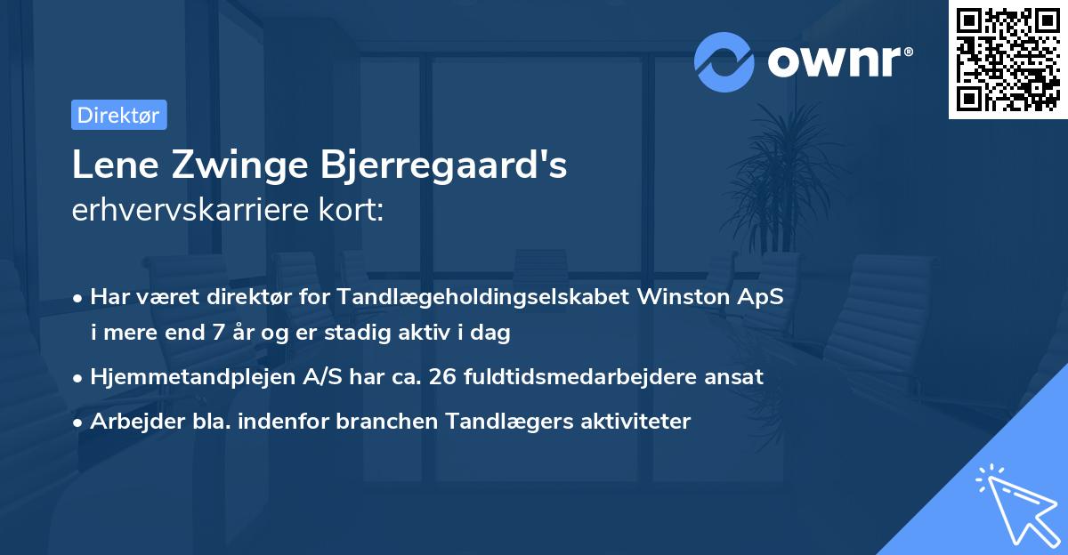 Lene Zwinge Bjerregaard's erhvervskarriere kort