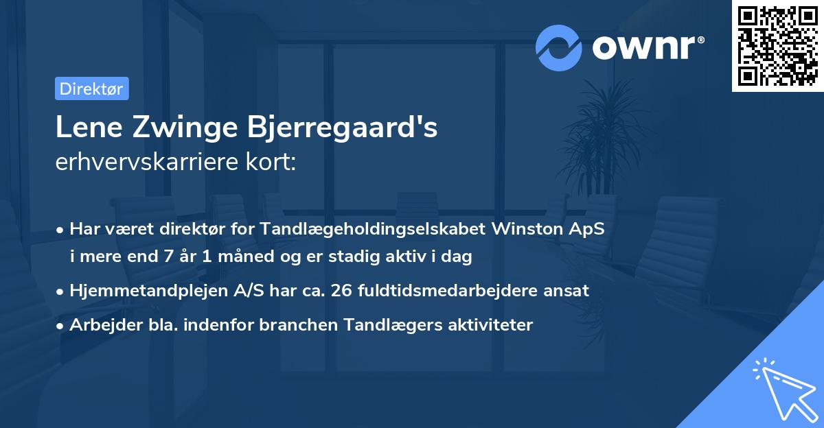 Lene Zwinge Bjerregaard's erhvervskarriere kort