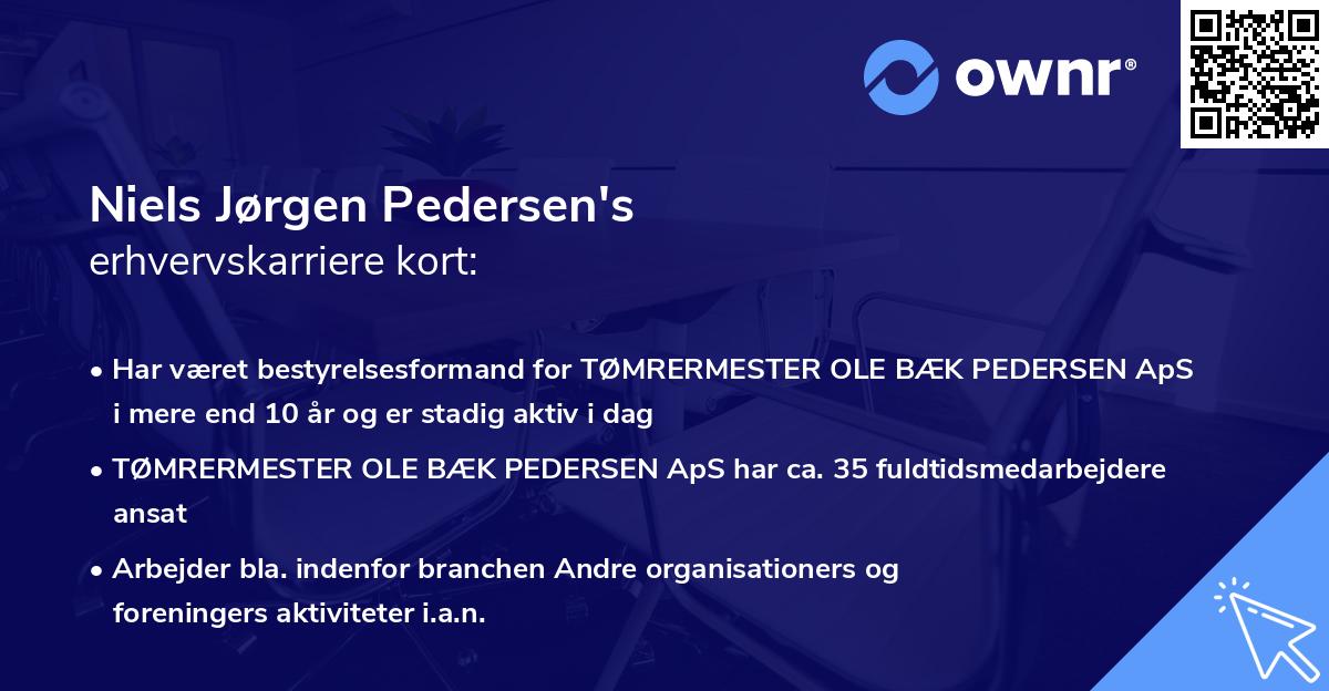 Niels Jørgen Pedersen's erhvervskarriere kort
