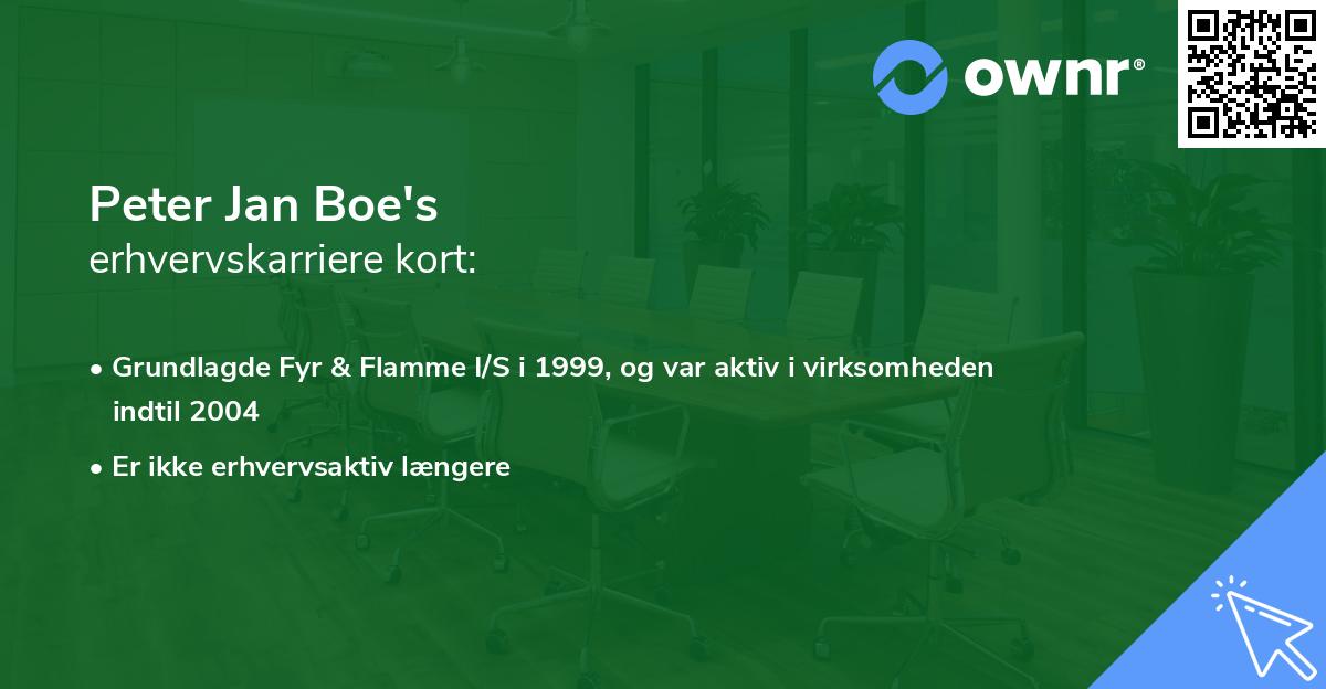 Peter Jan Boe's erhvervskarriere kort