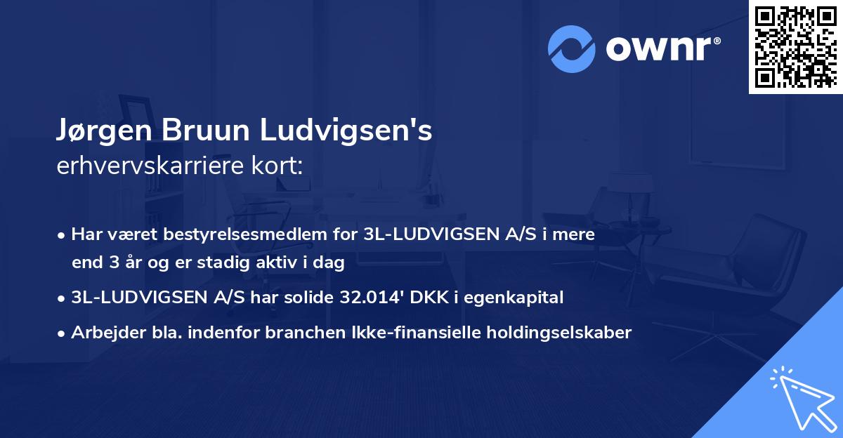 Jørgen Bruun Ludvigsen's erhvervskarriere kort
