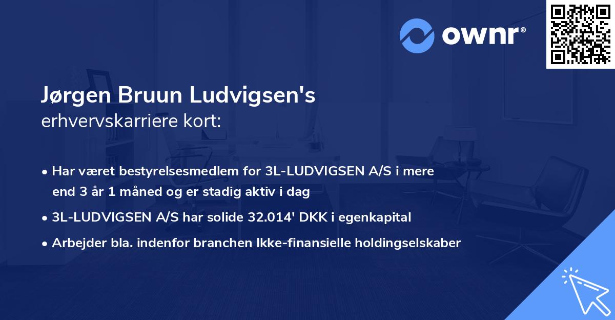 Jørgen Bruun Ludvigsen's erhvervskarriere kort