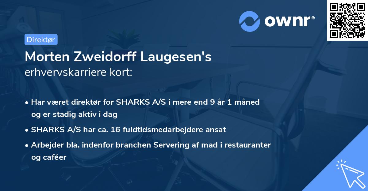 Morten Zweidorff Laugesen's erhvervskarriere kort