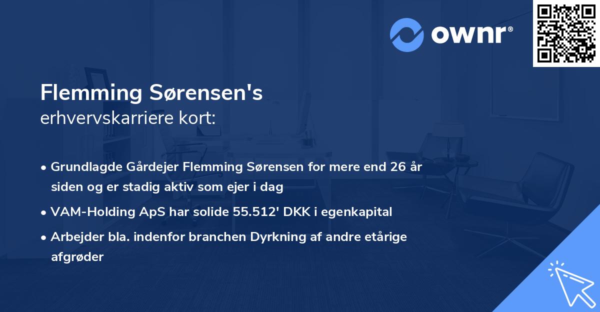 Flemming Sørensen's erhvervskarriere kort
