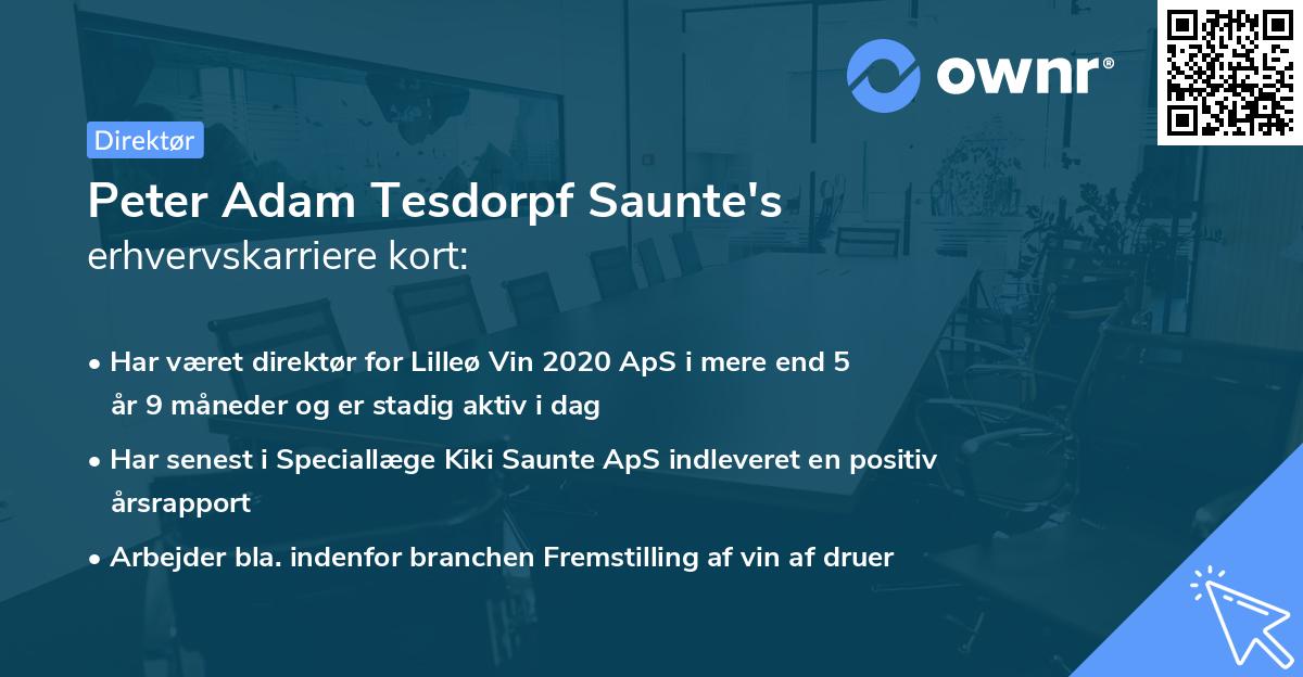 Peter Adam Tesdorpf Saunte's erhvervskarriere kort