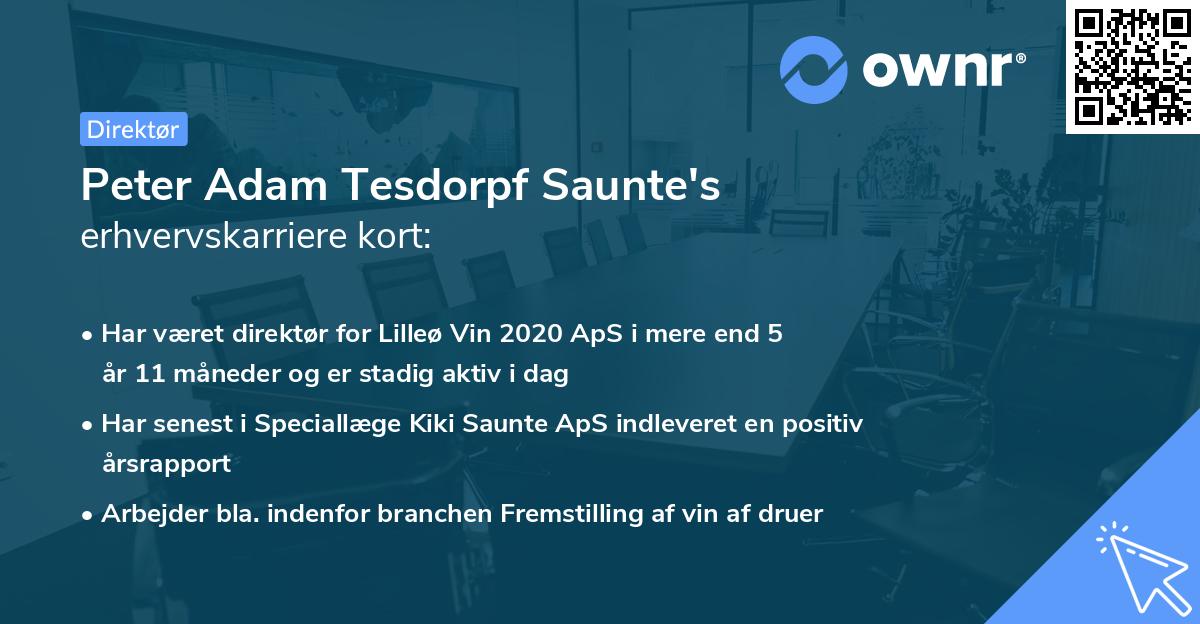 Peter Adam Tesdorpf Saunte's erhvervskarriere kort
