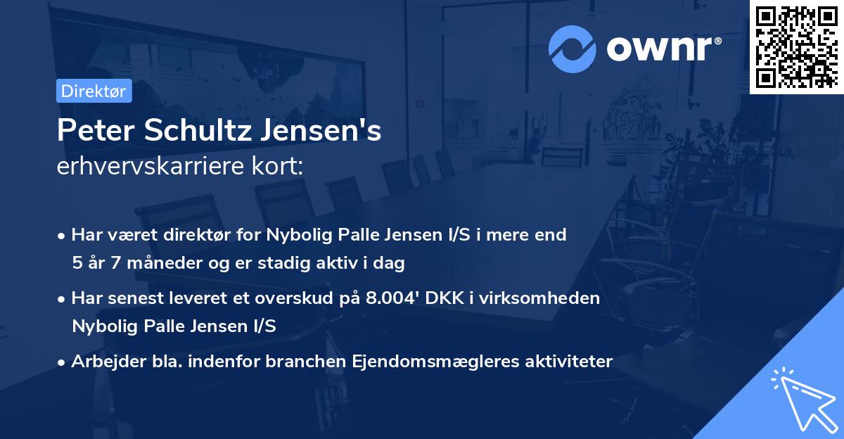 Peter Schultz Jensen's erhvervskarriere kort