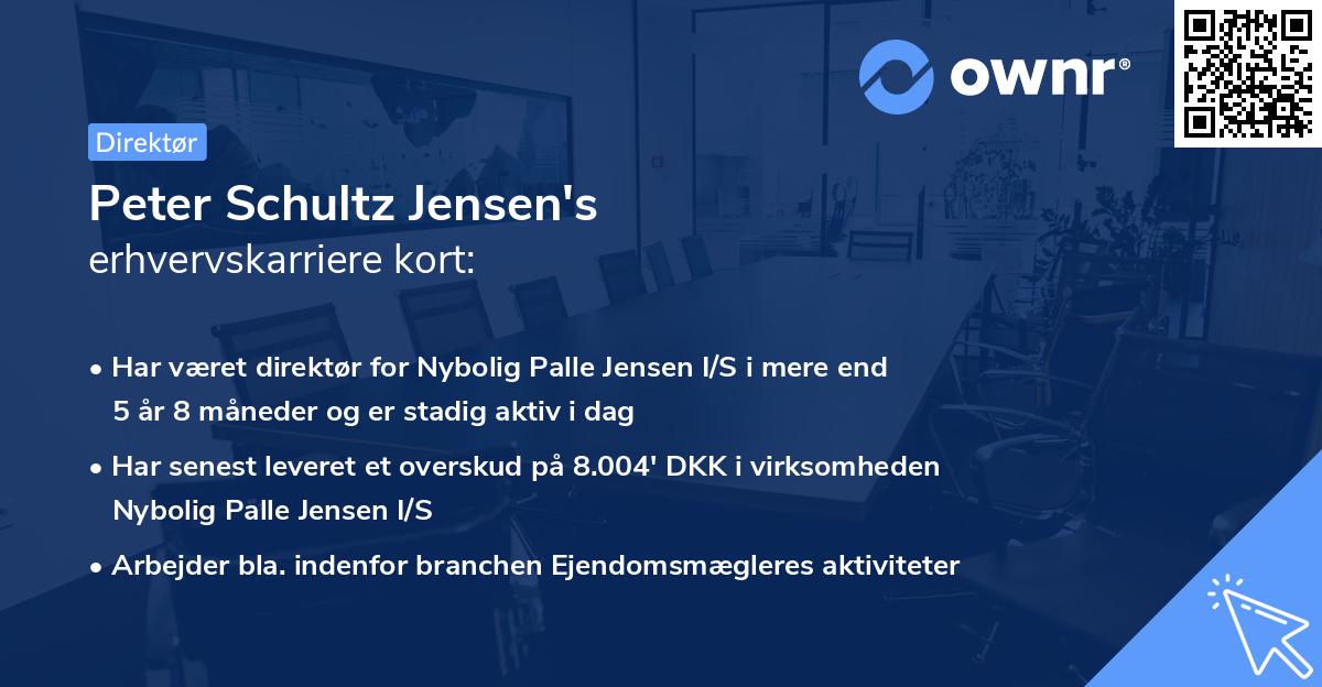 Peter Schultz Jensen's erhvervskarriere kort