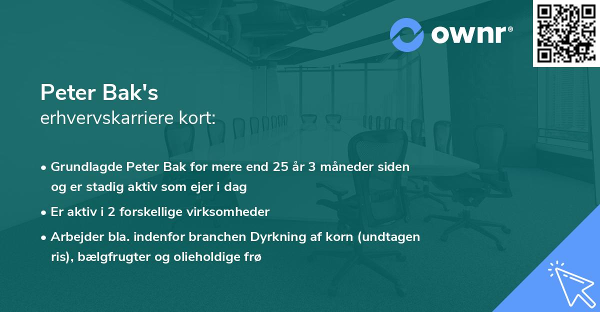 Peter Bak's erhvervskarriere kort