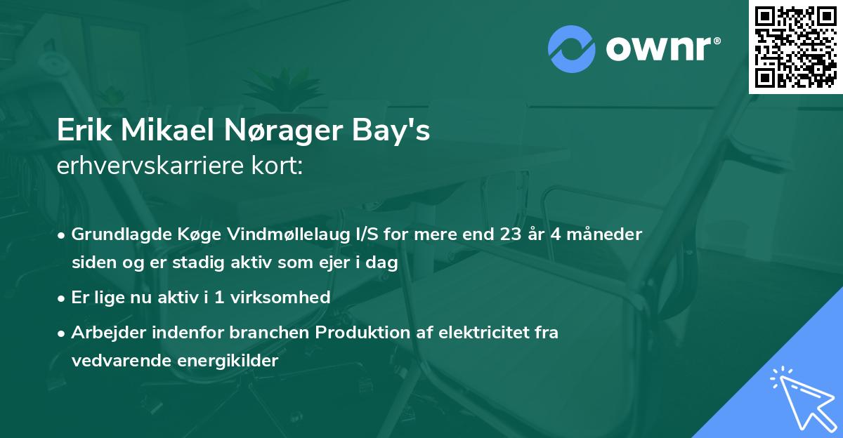 Erik Mikael Nørager Bay's erhvervskarriere kort