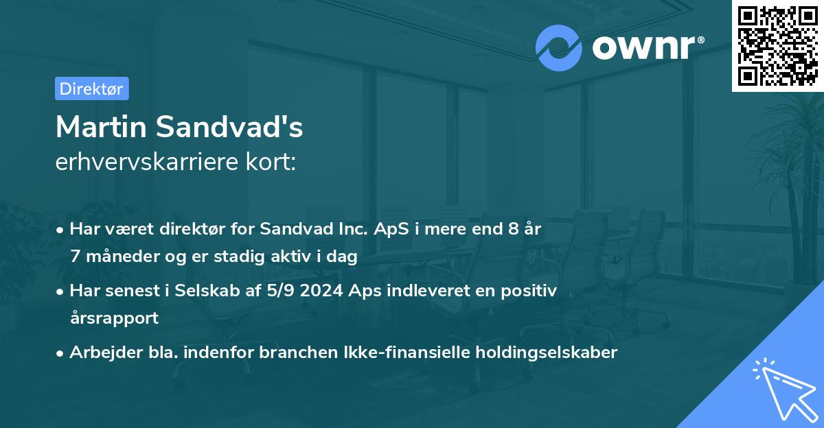 Martin Sandvad's erhvervskarriere kort
