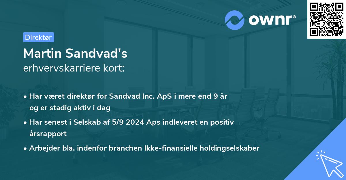 Martin Sandvad's erhvervskarriere kort