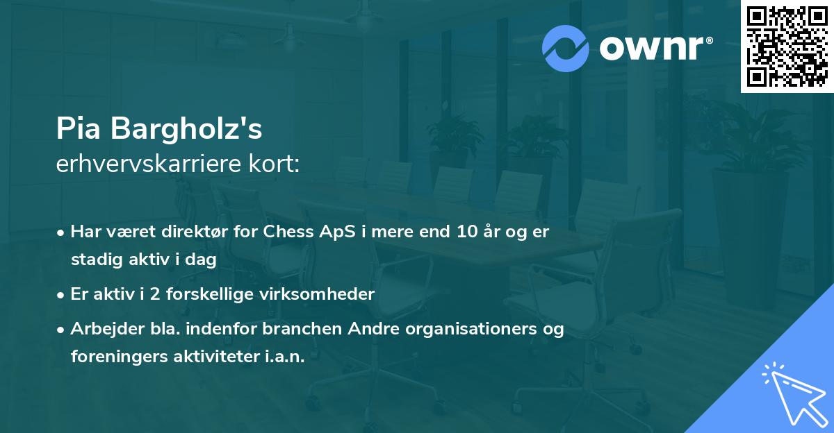 Pia Bargholz's erhvervskarriere kort
